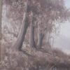 Landscape Verheul