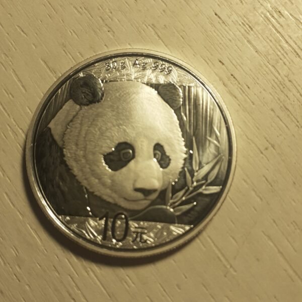 china 10 yuan panda coin